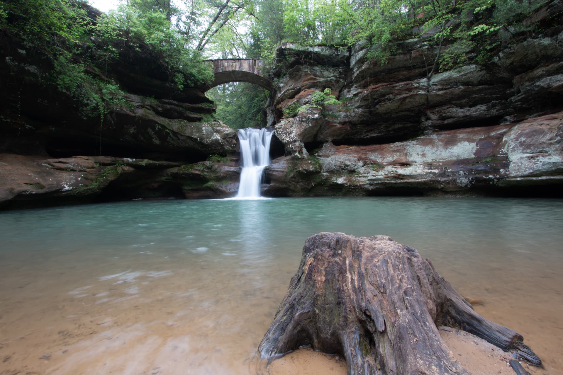 Cedar Stump — Hocking Hills, Ohio